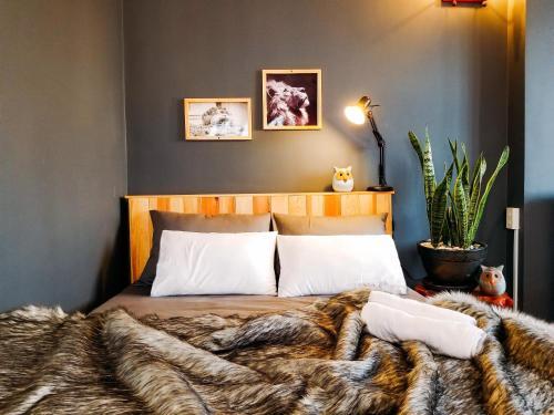 Далат: Cosy House Da Lat 3