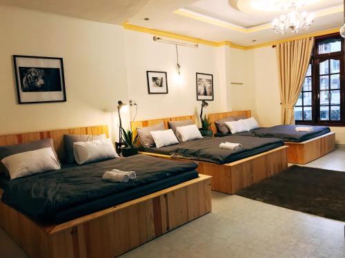 Далат: Cosy House Da Lat 3