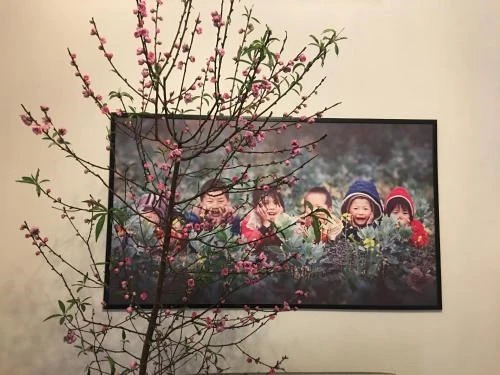 Дуонг-Лам: 14/32 Phố Sơn Tây, Ba Đình, Hà Nội