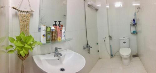 Дананг: 5V Homestay Da Nang