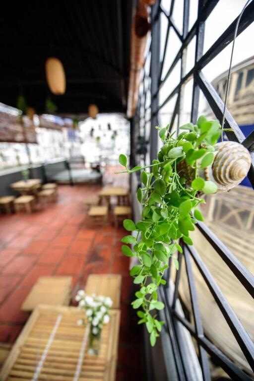 Хошимин: The Like Hostel & Cafe