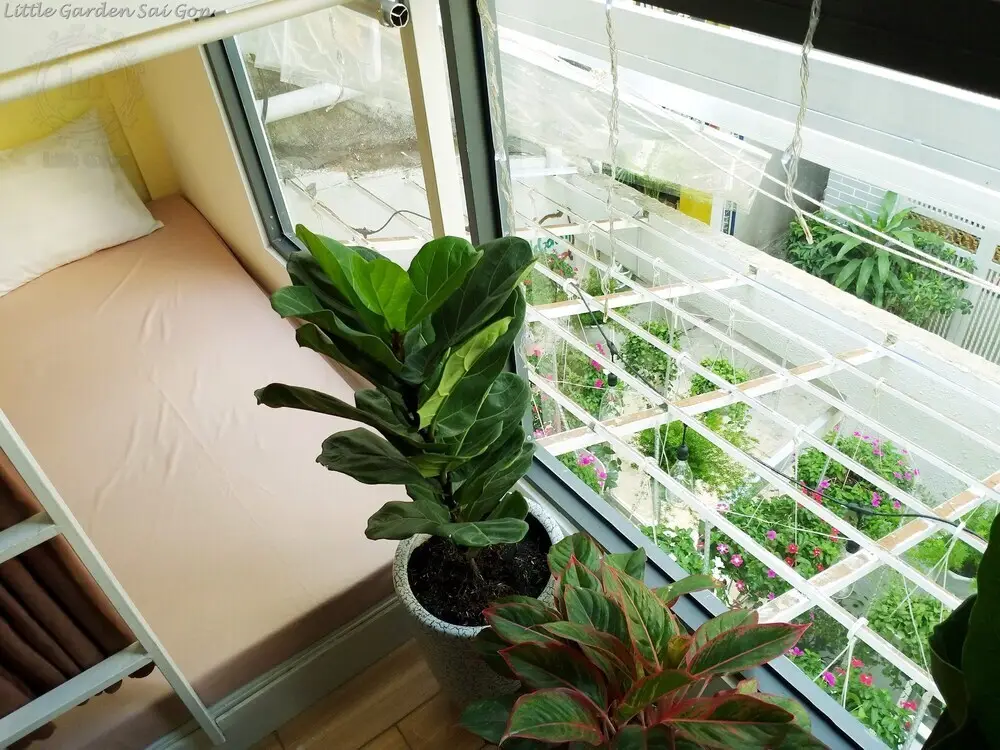 Хошимин: Little Garden Hostel