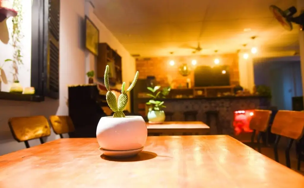 Вунгтау: Secret Garden Coffee  Homestay