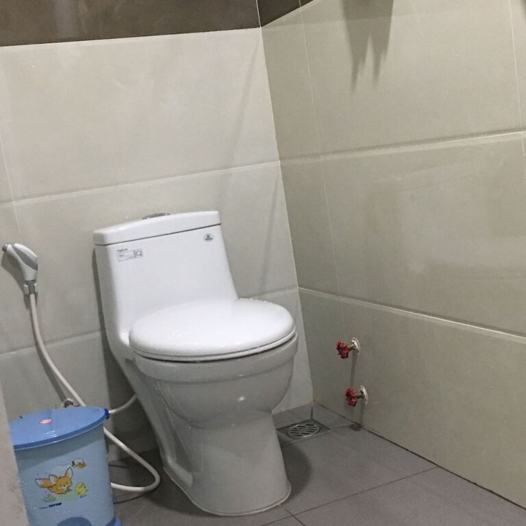 Хошимин: Gia Han Hotel