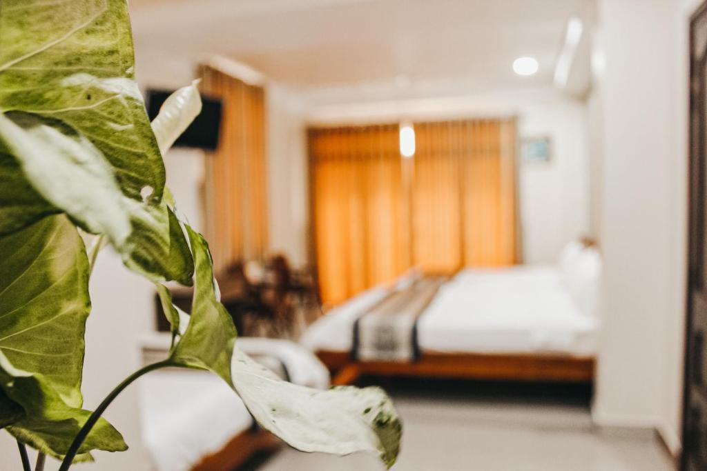 Чау-Док: Ngoc Linh Motel