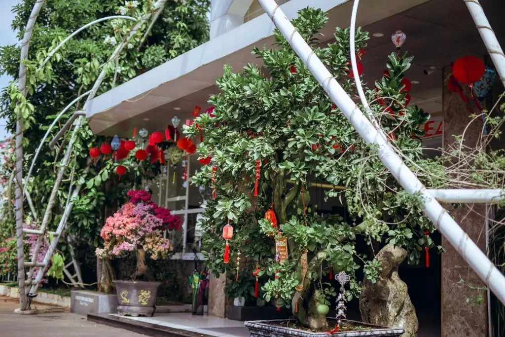 Nhat Quang Hotel — фото 1
