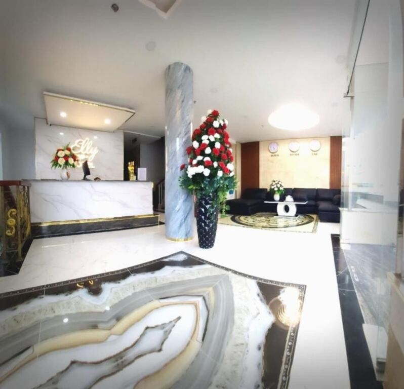 Хошимин: Elly Hotel