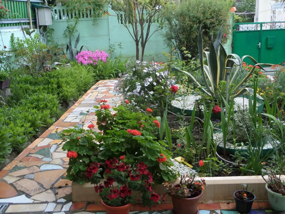 Красная Поляна: AnLi Guest House