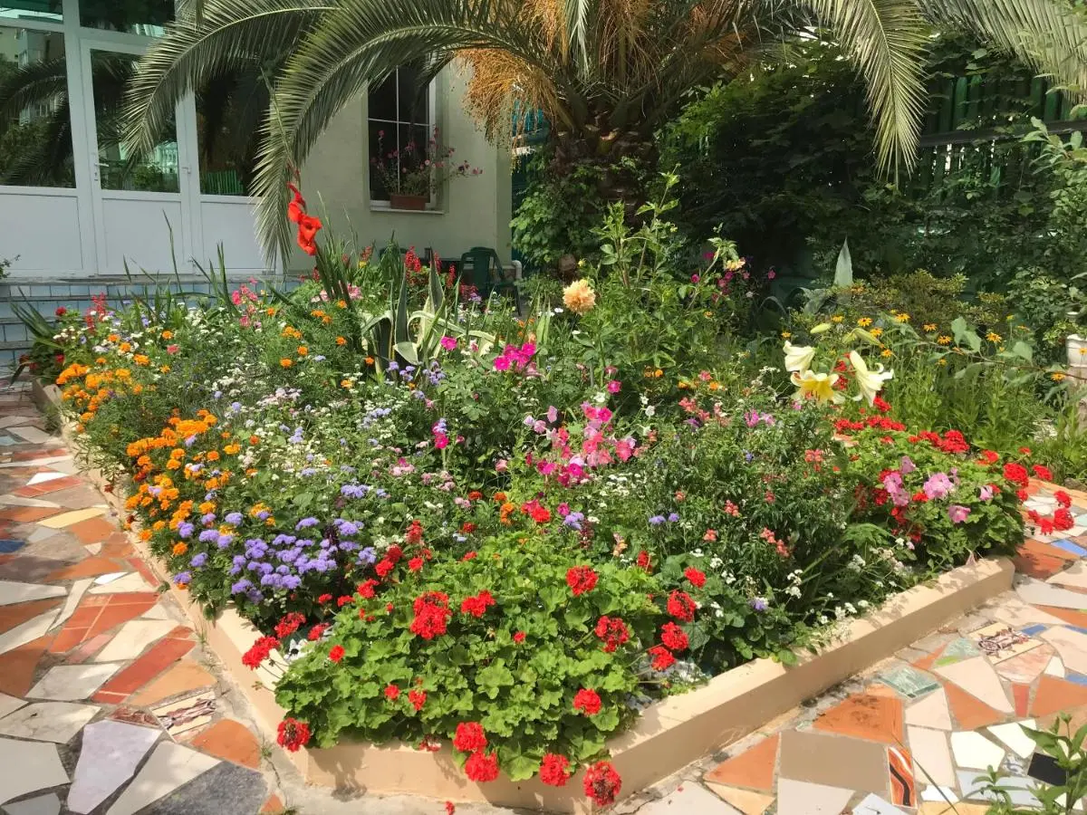 Красная Поляна: AnLi Guest House