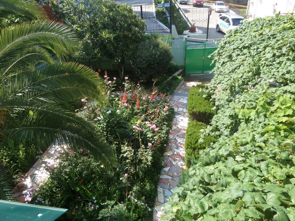 Красная Поляна: AnLi Guest House