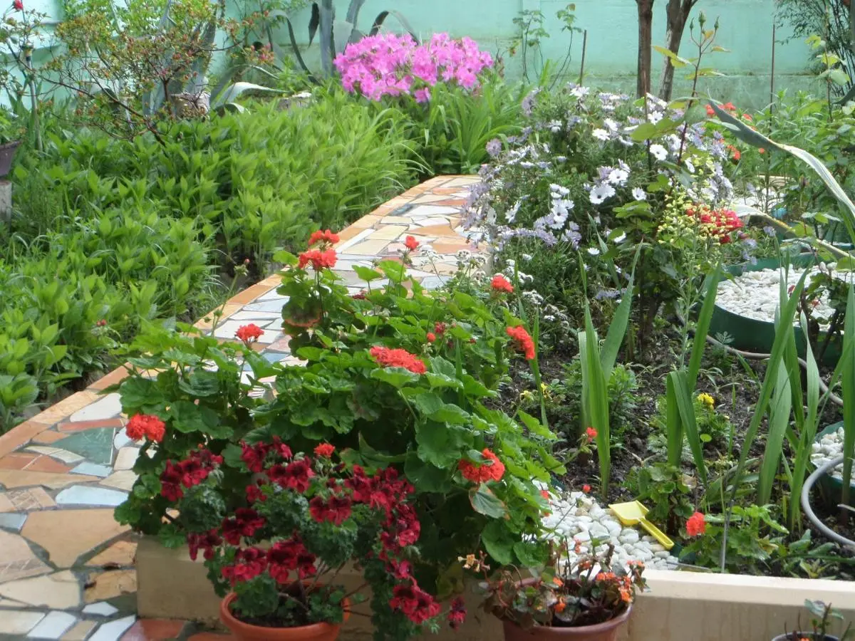 Красная Поляна: AnLi Guest House