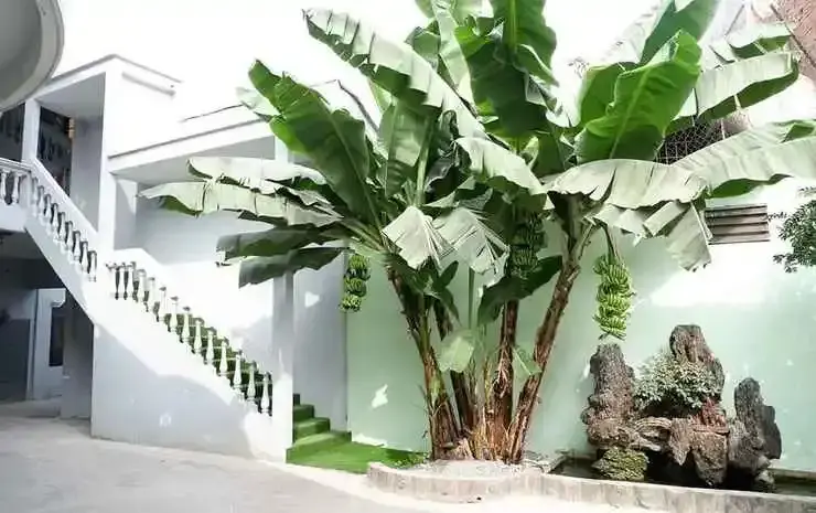 Ди Ан: Thai Binh Duong 2 Hotel