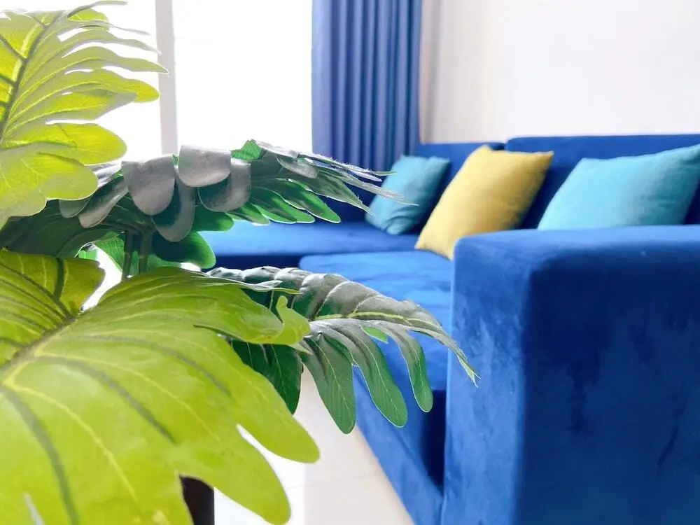 Вунгтау: Vung Tau Milan Homestay