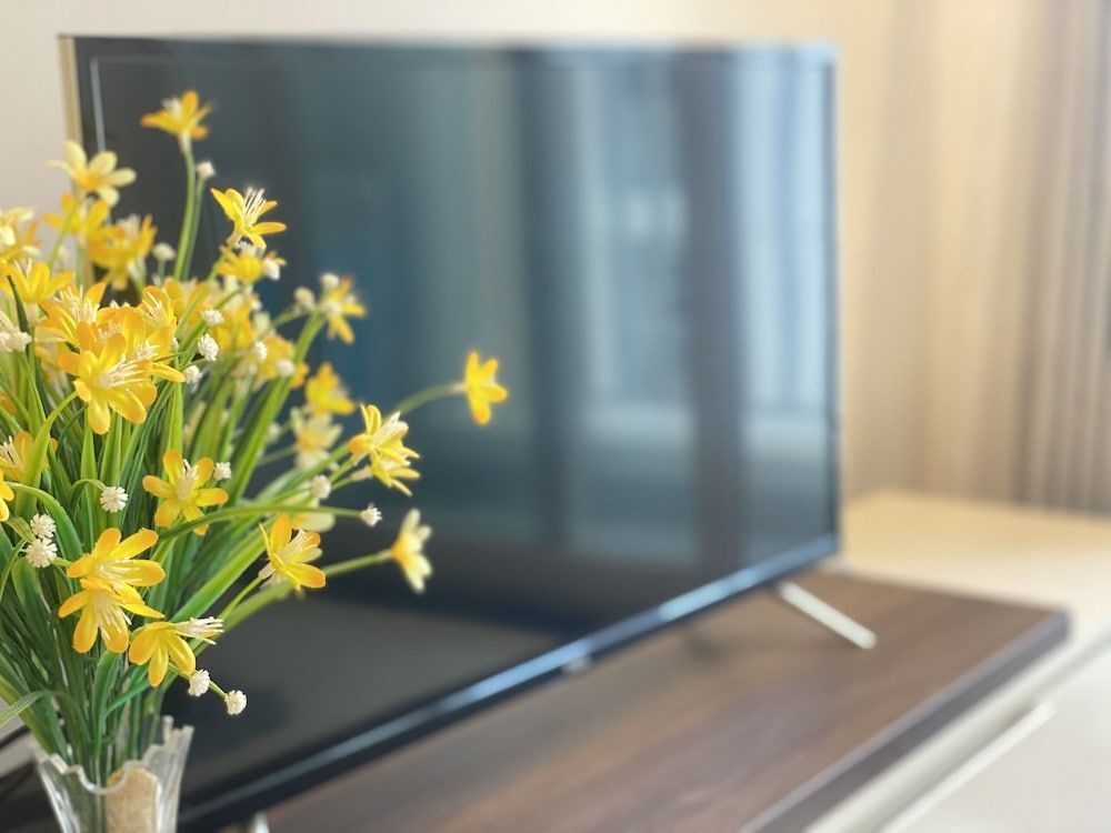 Вунгтау: Vung Tau Milan Homestay