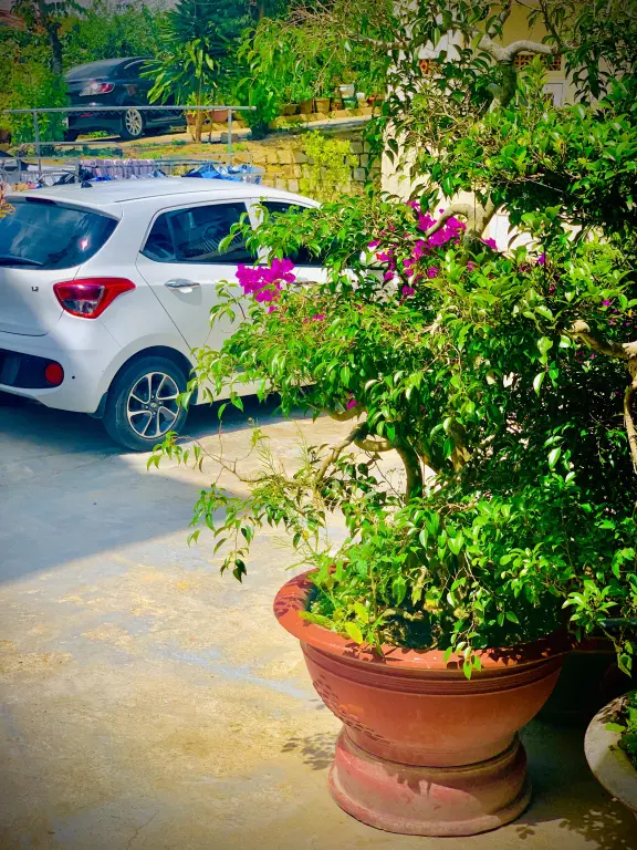 Далат: Гостевой Дом Family Homestay Dalat Casa
