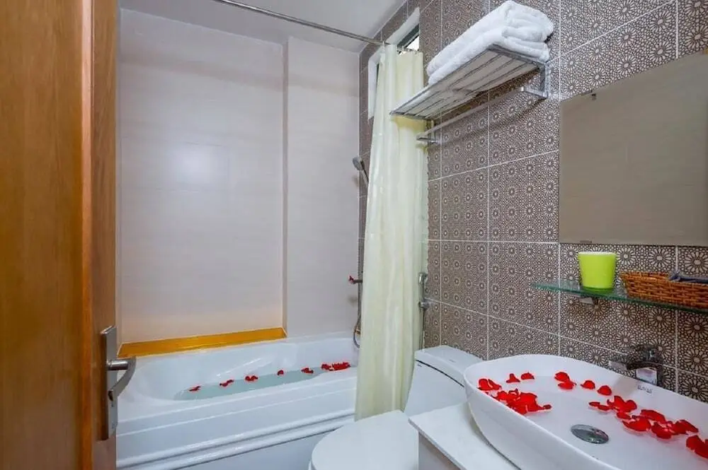 Дананг: Vyvy Apartment - The Art