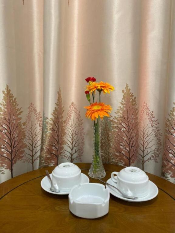 Дананг: Blue S Hotel & Apartment