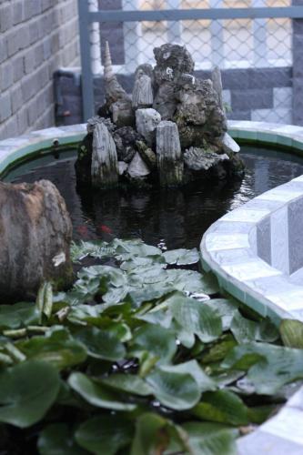 Хойан: Dream Flower Homestay Hoi An