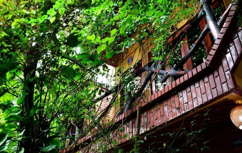 Хоа Лу: Tam Coc Amanda Villas