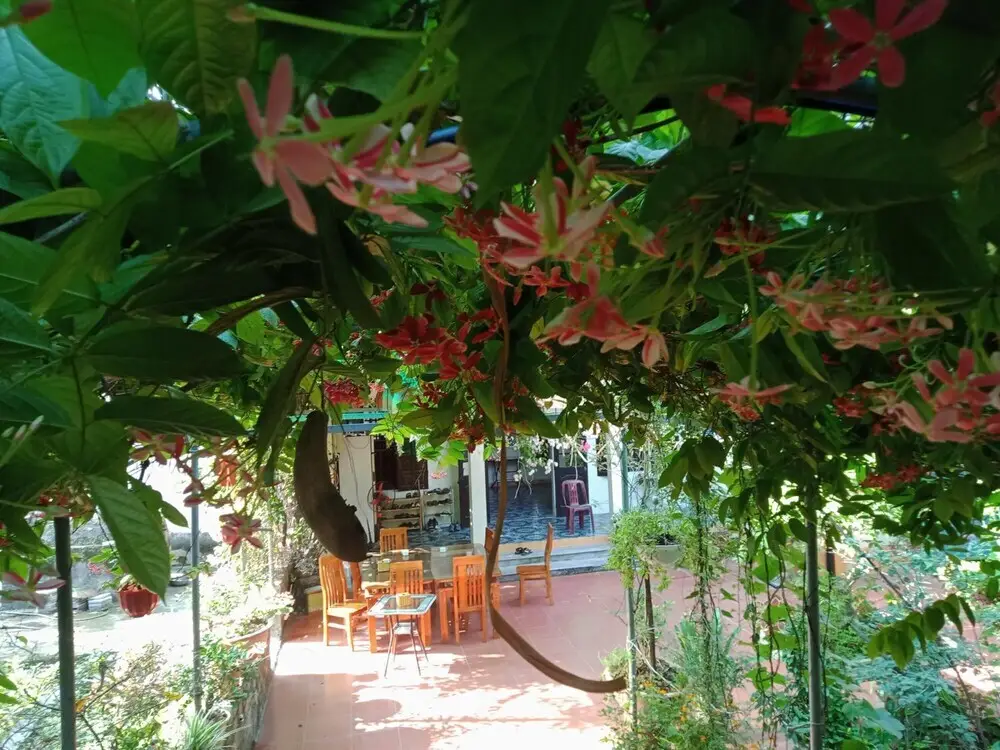 Хоа Лу: Phi Hung's Unique homestay