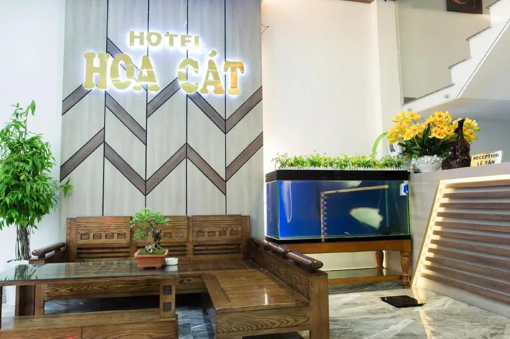 Куинён: Hoa Cat Hotel
