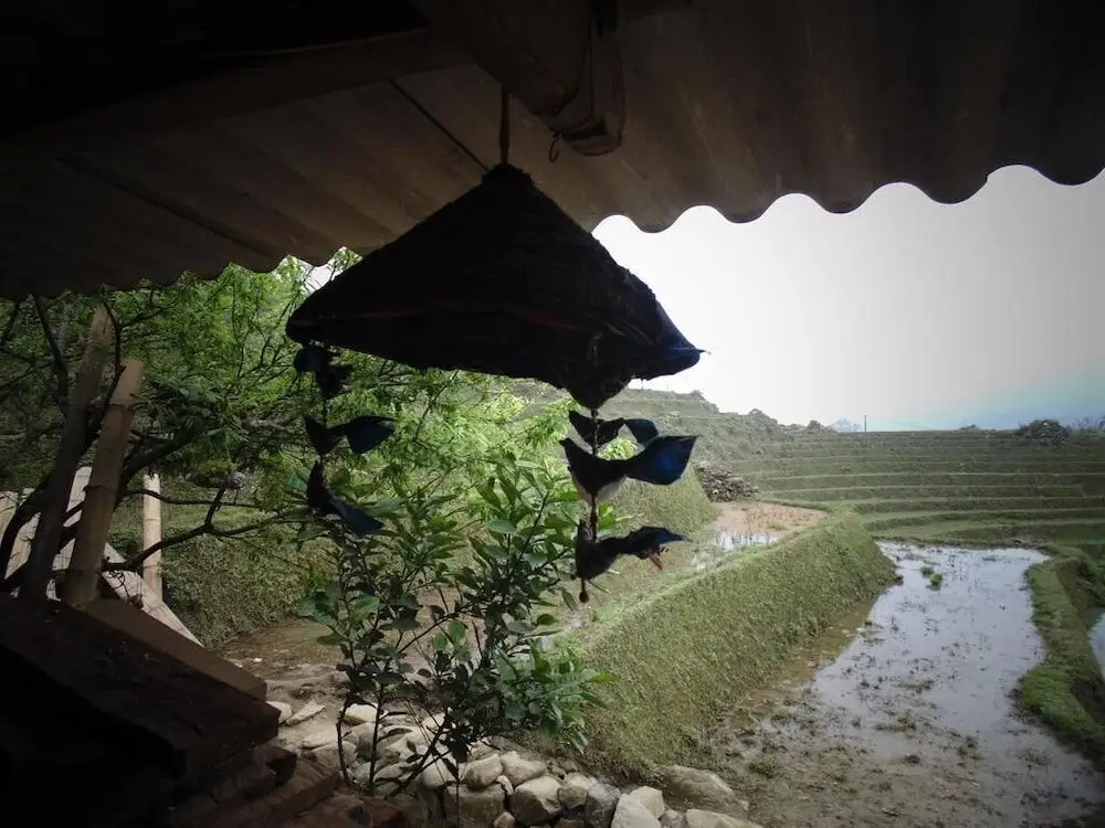 Шапа: Hmong Sister House - Hostel