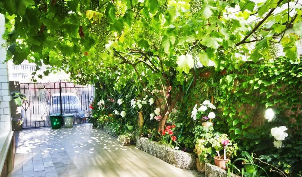 Сочи: Nika Guest House