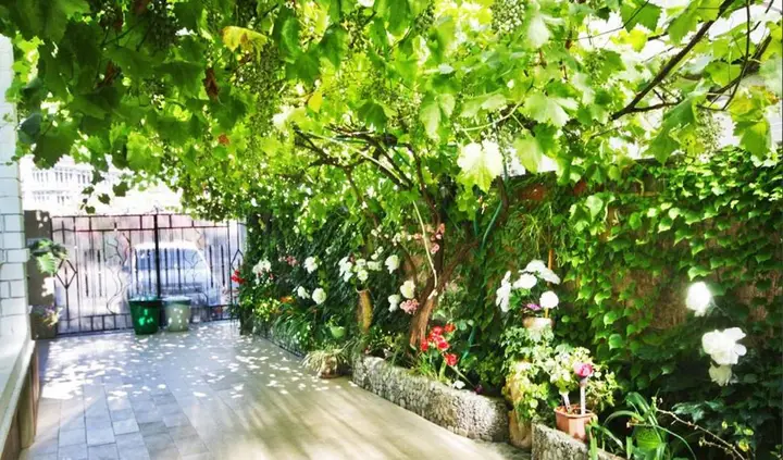 Сочи: Nika Guest House