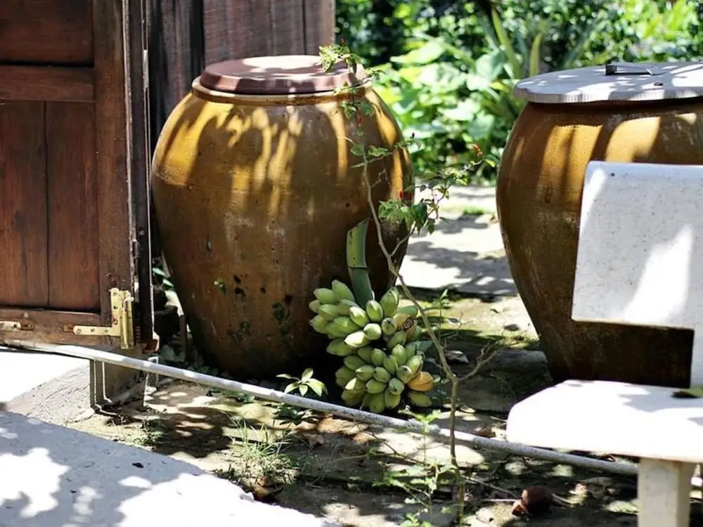 Бенче: Peaceful Homestay in the Middle of Fruit Garden - Room With Four Double Beds