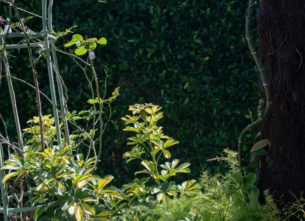 Далат: Le Soleil Boutique Hotel Dalat