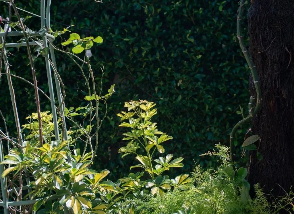 Далат: Le Soleil Boutique Hotel Dalat