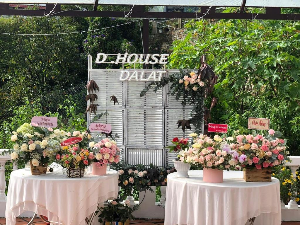 Далат: D House Dalat