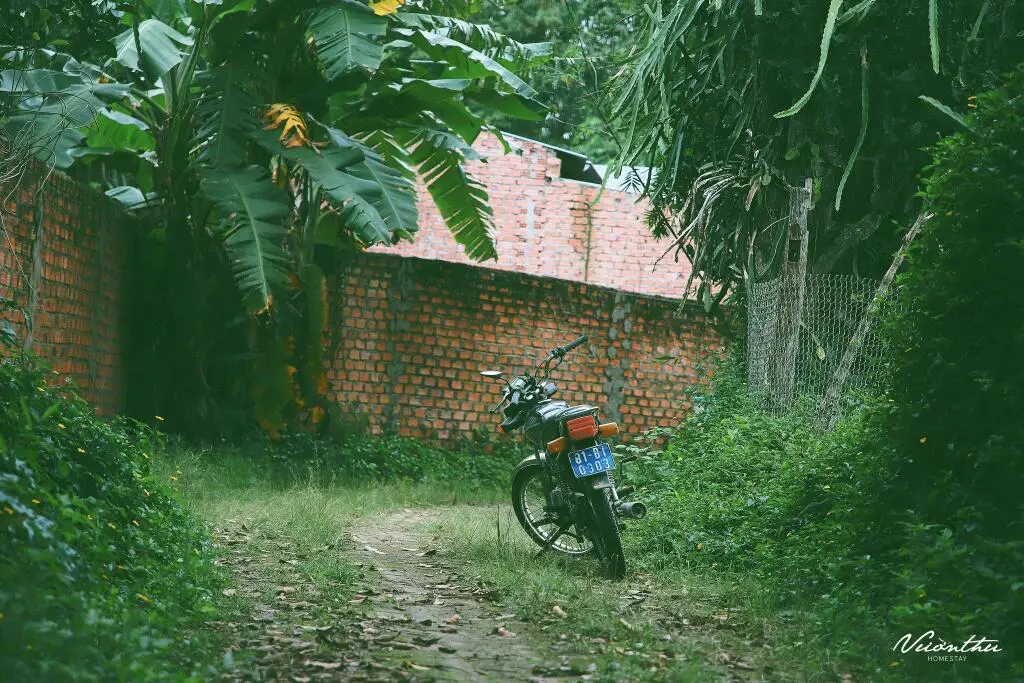 Контум: Vuon Thu Guest House Garden