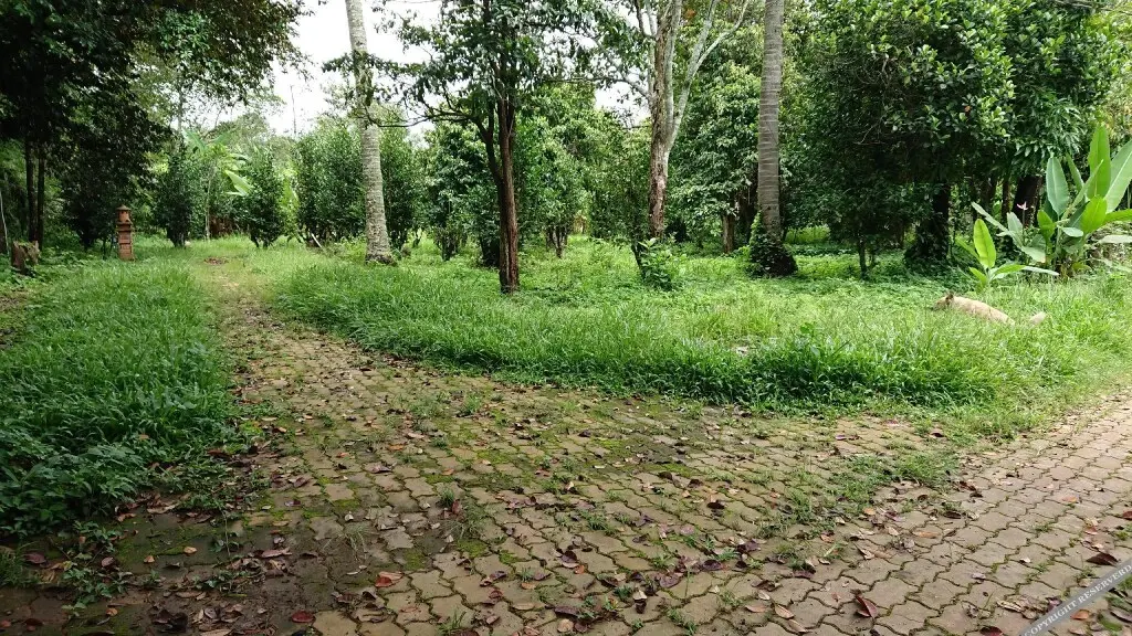 Контум: Vuon Thu Guest House Garden
