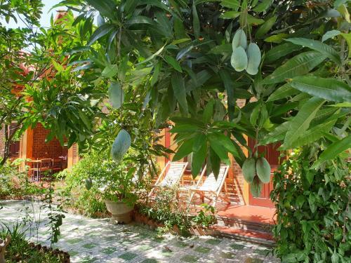 Хоа Лу: Vinh Thinh Homestay