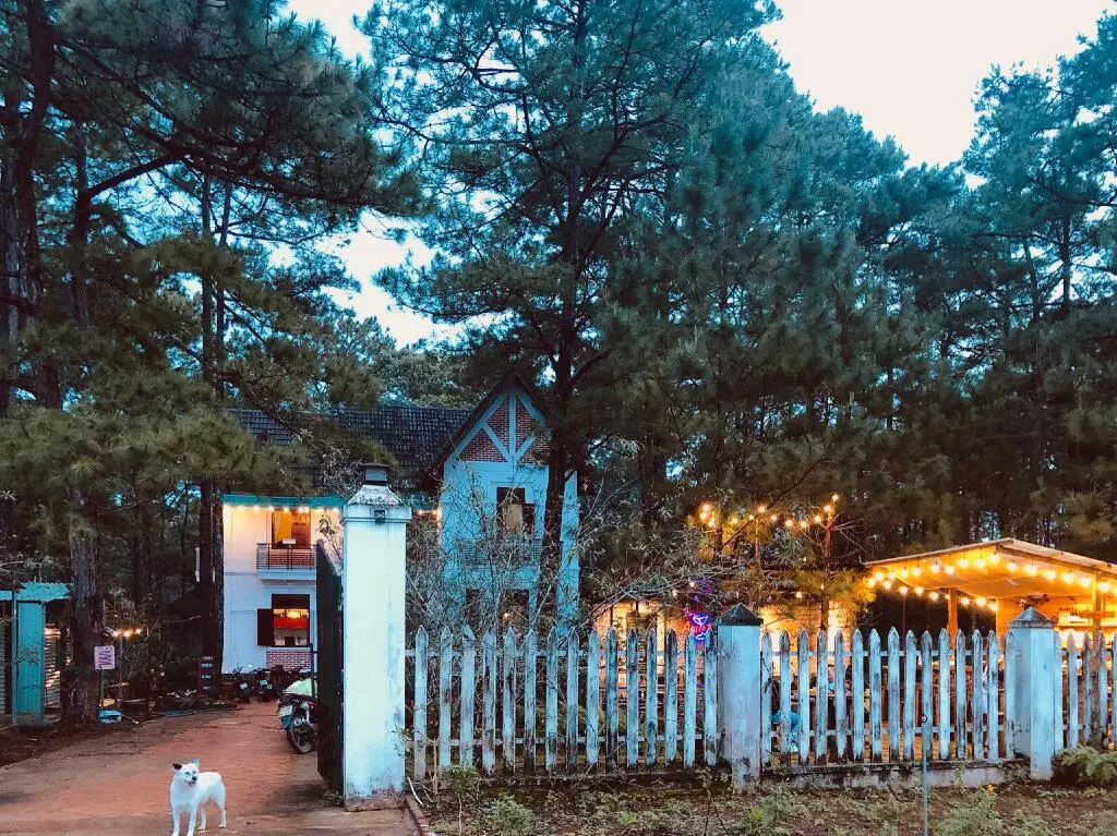 Манг Ден: Chino Homestay Mang Den