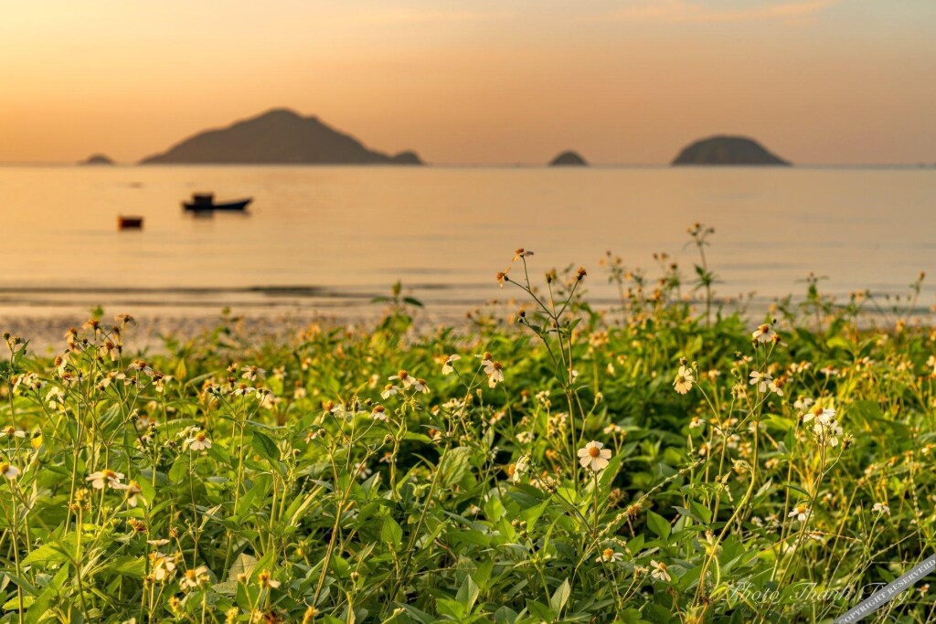 Консон: Nam Hai Con Dao Hotel