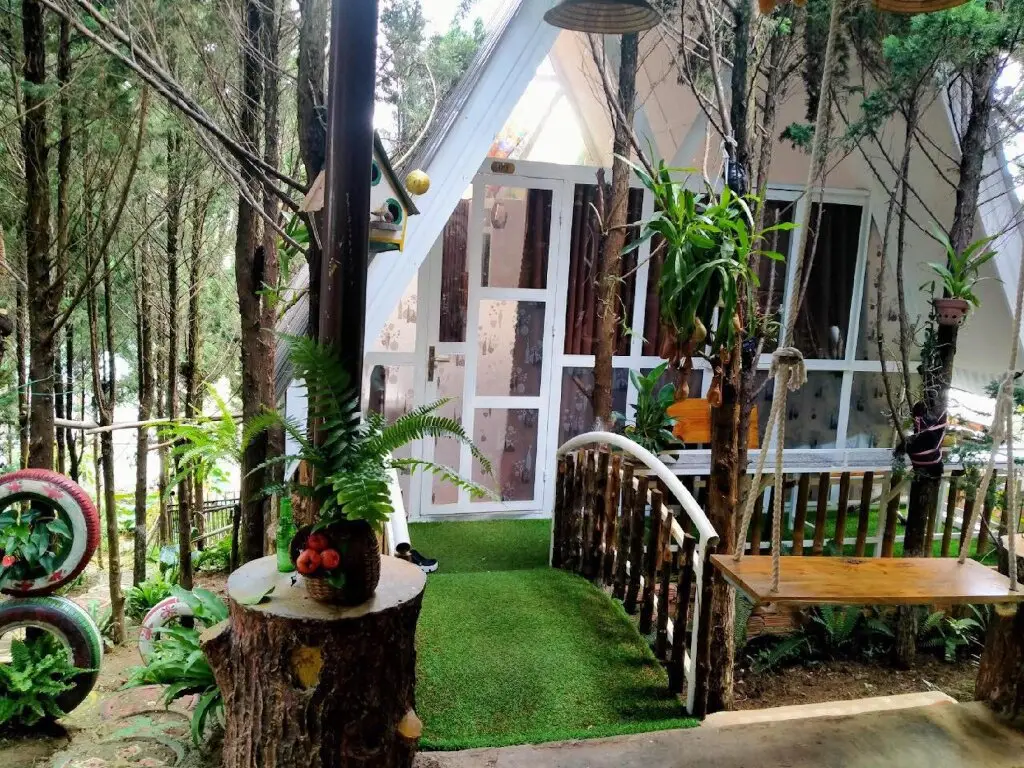 Далат: Homestay VuonTung (Pine Garden)