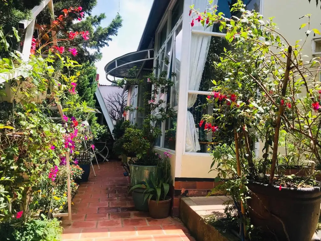 Далат: Homestay VuonTung (Pine Garden)