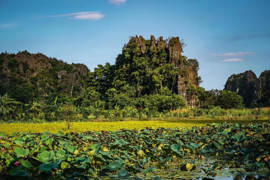 Хоа Лу: Tam Coc Cocoon Homestay