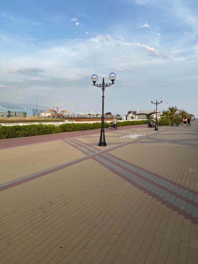 Адлер: Ивовый 27/1
