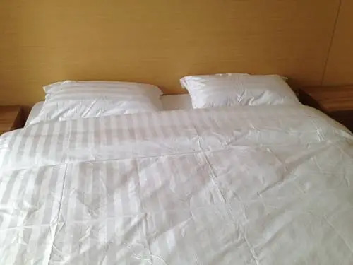 Сиань: Aisiting International Apartment Xi'an
