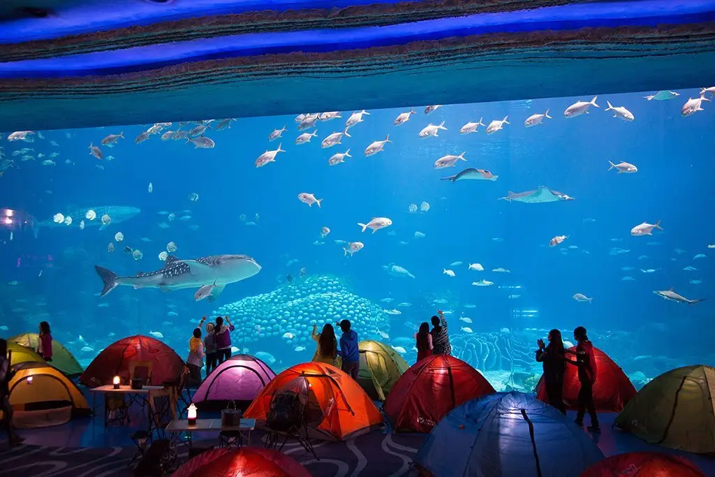 Чжухай: Chimelong Circus Hotel