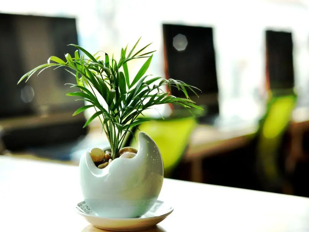 Циндао: Free Line Youth Hostel Qingdao Zhanqiao Railway Station