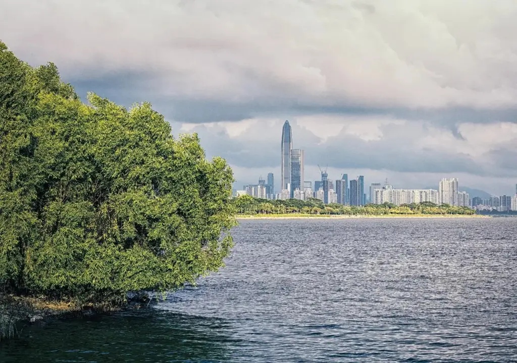 Шэньчжэнь: 7Days Inn Shenzhen Dongmen Buxingjie