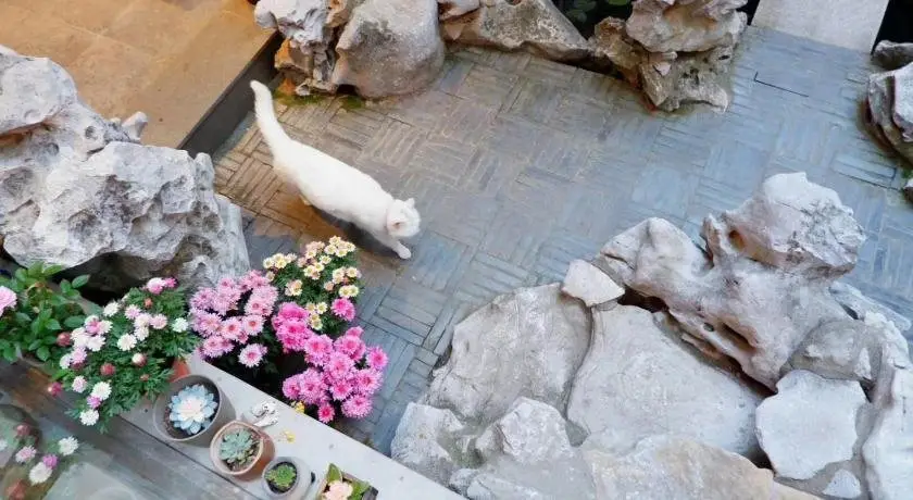 Шанхай: Xiao Yuaner Bed and Breakfast