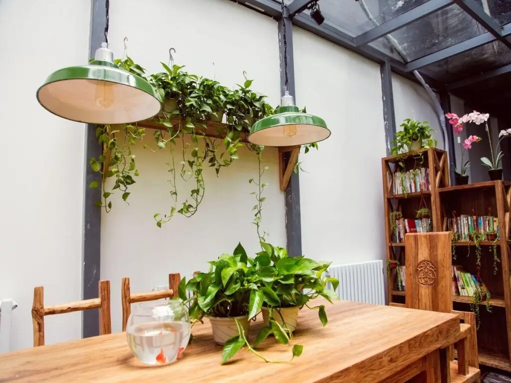 Пекин: Beijing Peas Youth Hostel