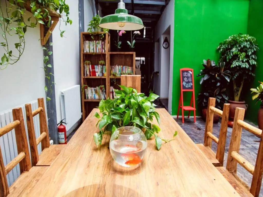 Пекин: Beijing Peas Youth Hostel