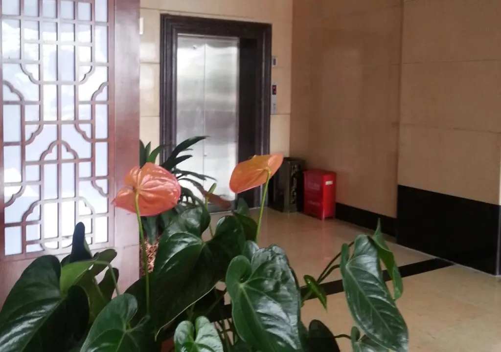Чжанцзяцзе: Zhangjiajie Gangyuan Wellness Resort