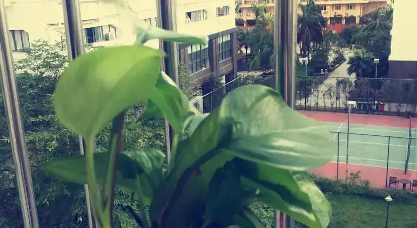 Санья: Sanya Rainbow Footprint Guesthouse